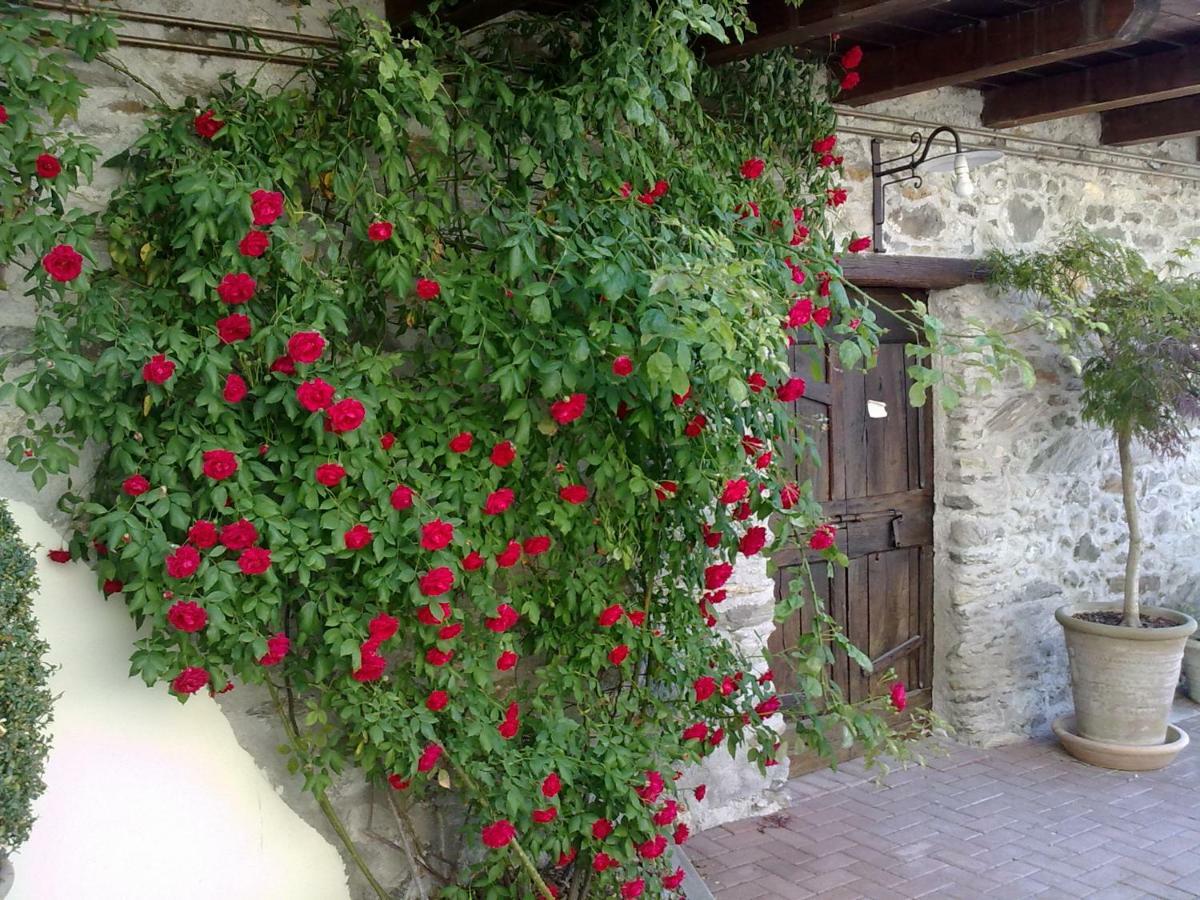 Residenza Antica Corte Villa Picta Buglio in Monte Exteriör bild